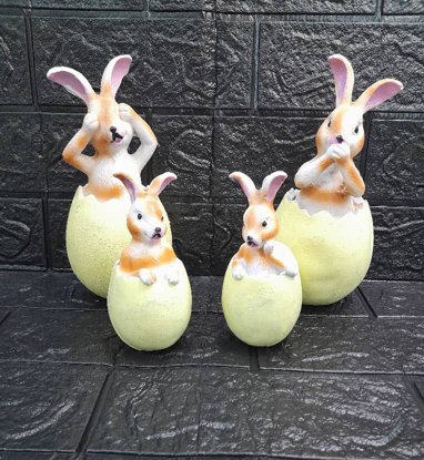 تصویر از خرگوش خانواده