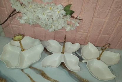 تصویر از اردو3خانه برگ-کنگره-پروانه