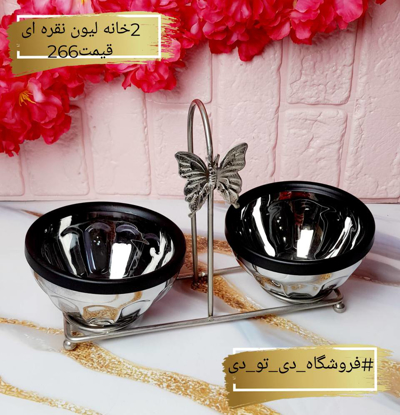 تصویر از 2خانه لیون نقره ای