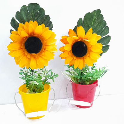 تصویر از افتابگردان کوچک