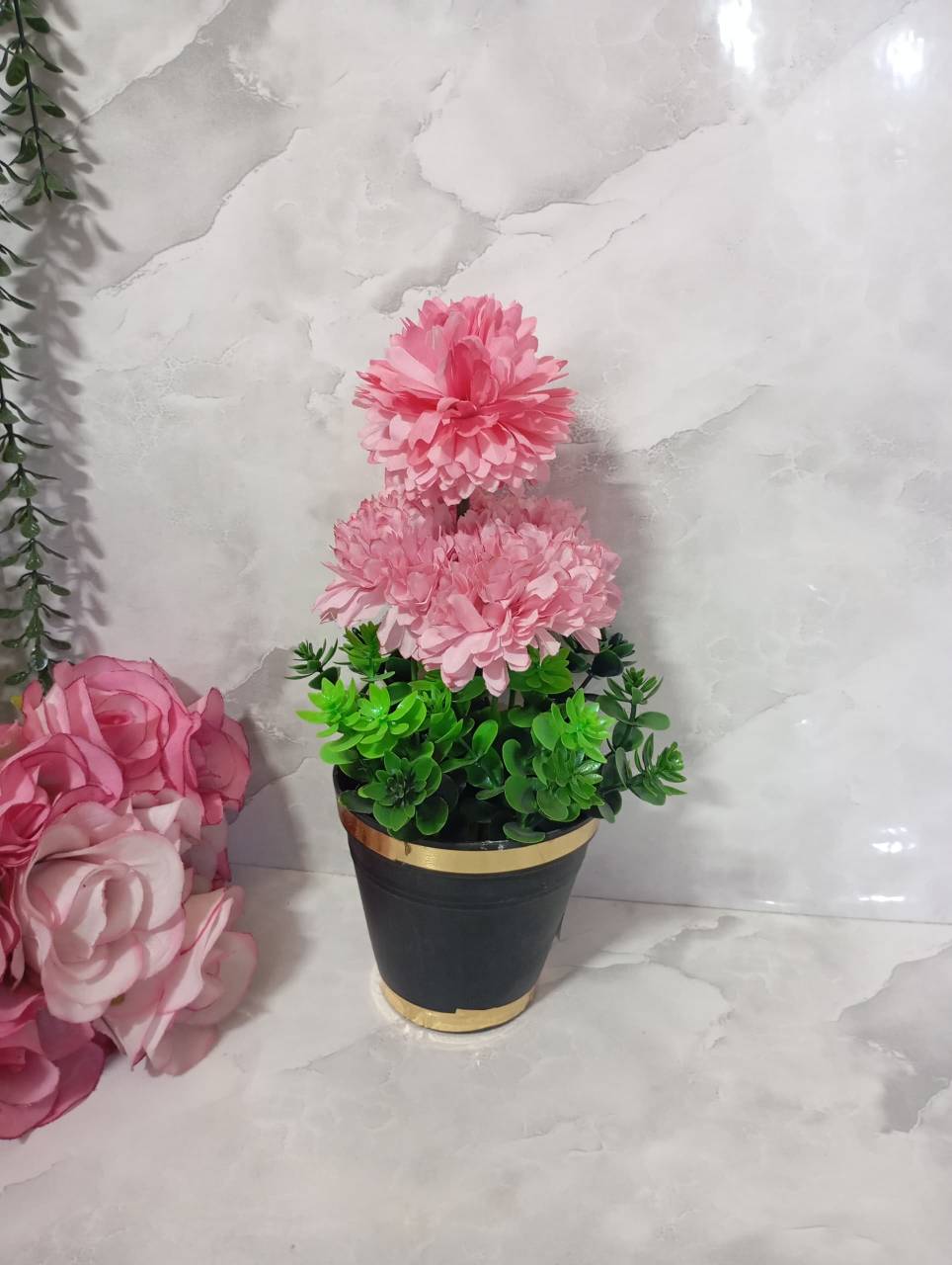 تصویر از داوودی5گل رنگی