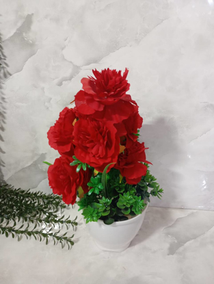 تصویر از سوسنp3