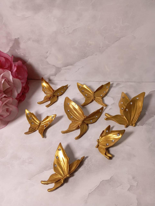 تصویر از پروانه نگین دار جور