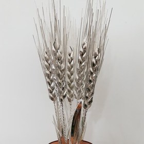 تصویر از شاخه گندم
