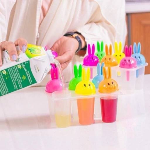 تصویر از قالب بستنی سازبانی باگز