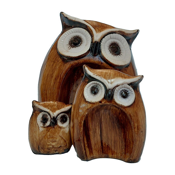 تصویر از جغد تودلی