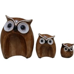 تصویر از جغد تودلی