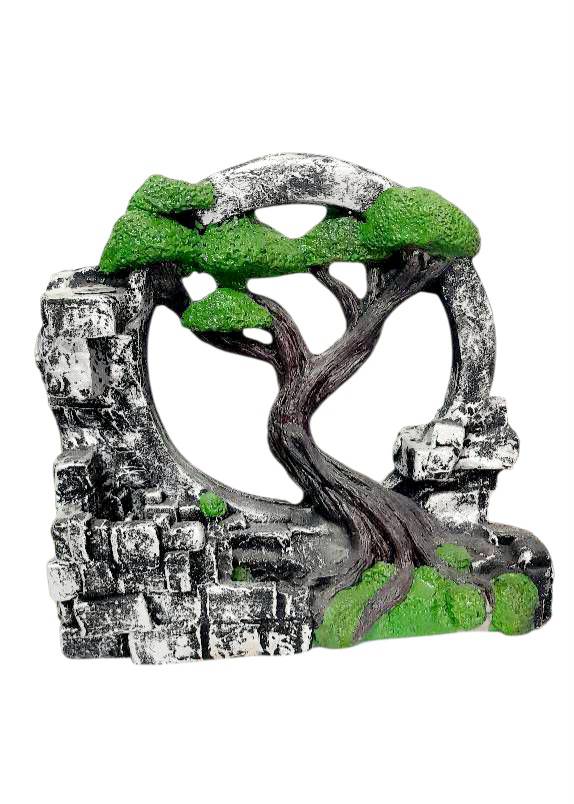 تصویر از درخت جاعودی