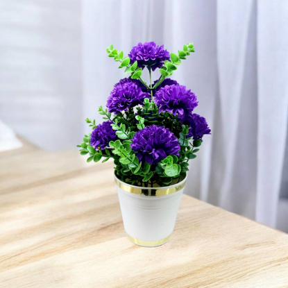 تصویر از داوودی9 گل404