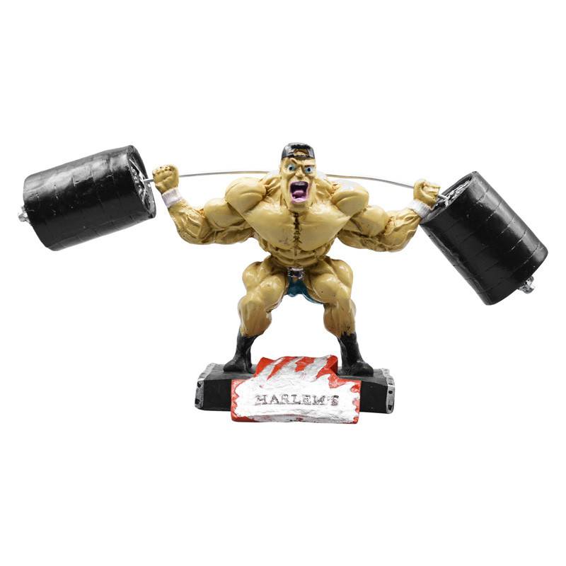 تصویر از بدن ساز