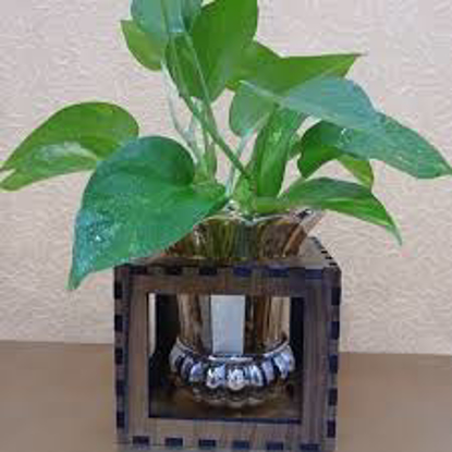 تصویر از گلدان فانوس